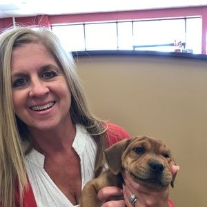 Meet your Posher, Janet